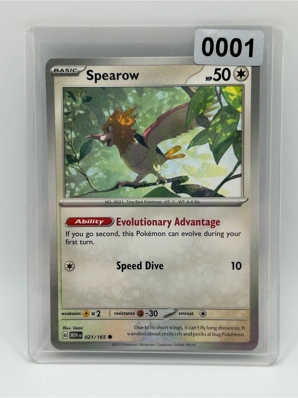 Spearow Pokémon Card